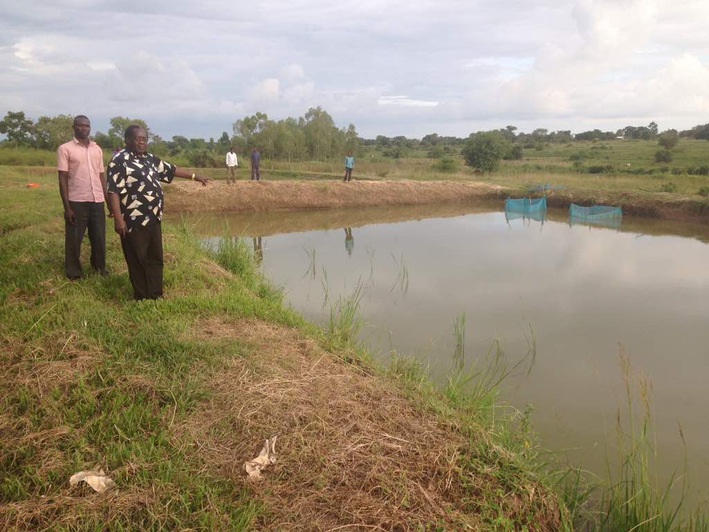 Fish pond farming - Foundation Linking Together